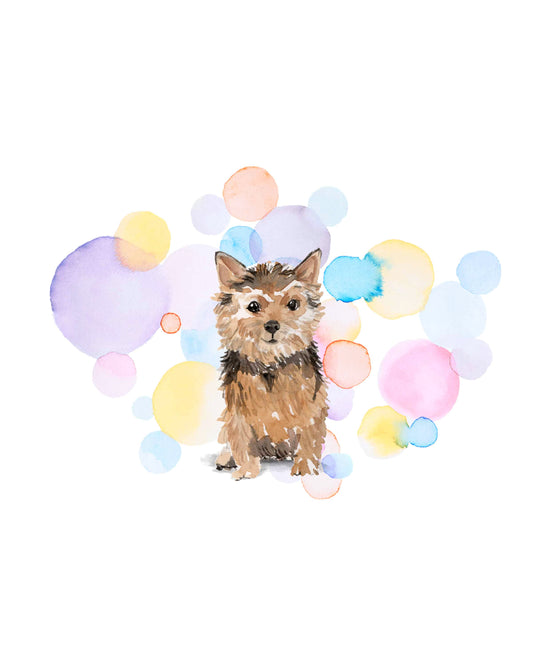 Norfolk Terrier Dog Splash Card