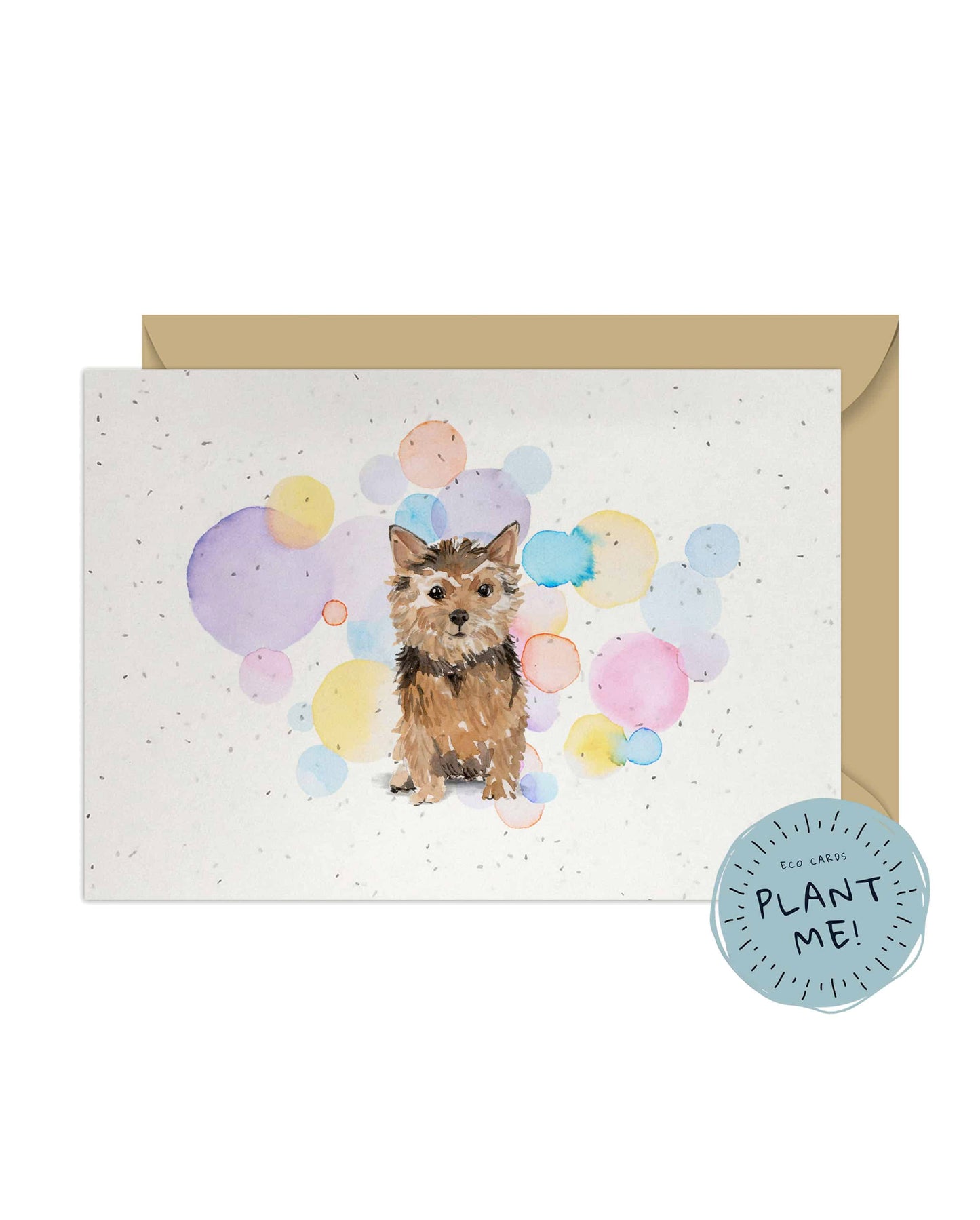 Norfolk Terrier Dog Splash Card