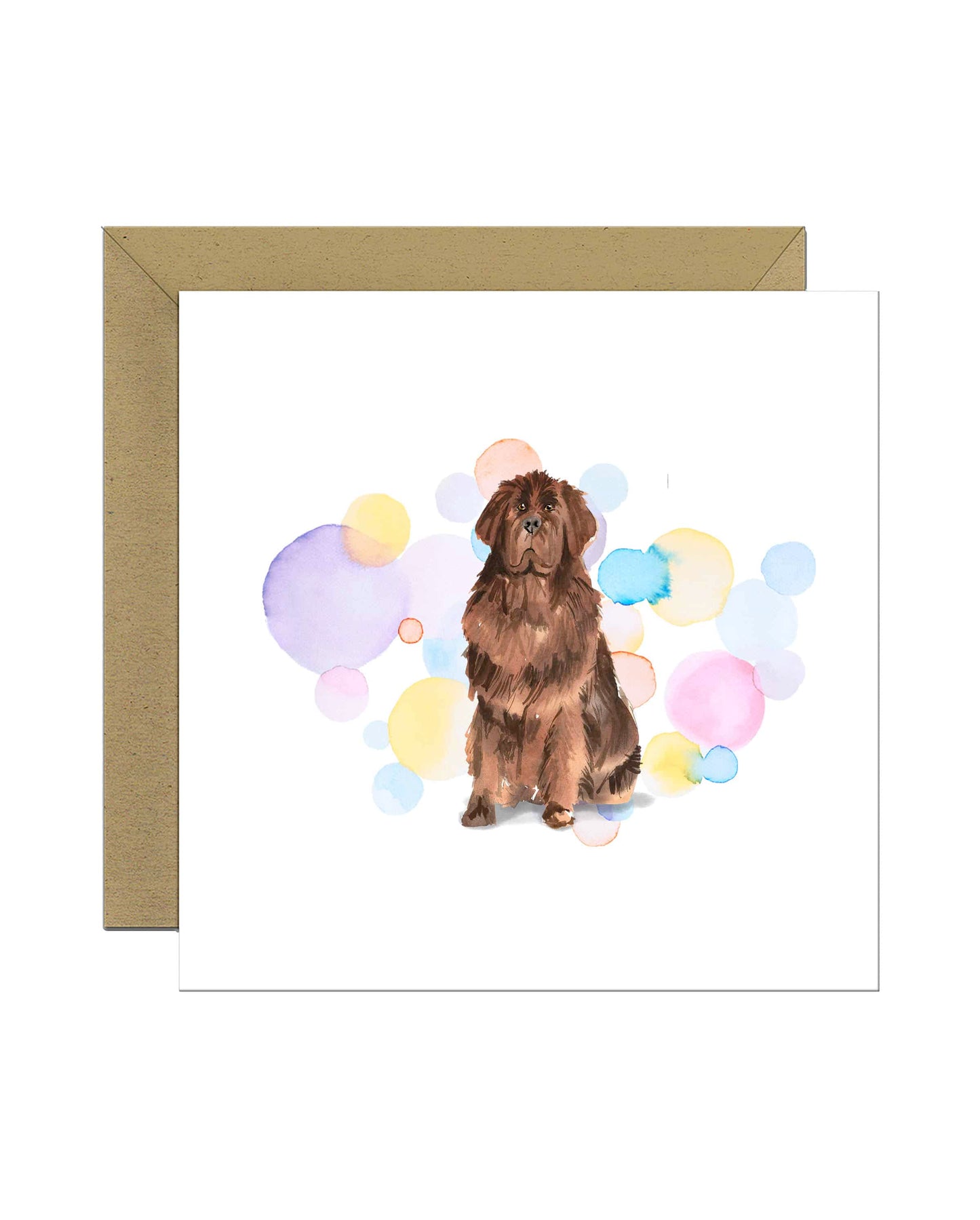 Newfoundland Dog Splash Card