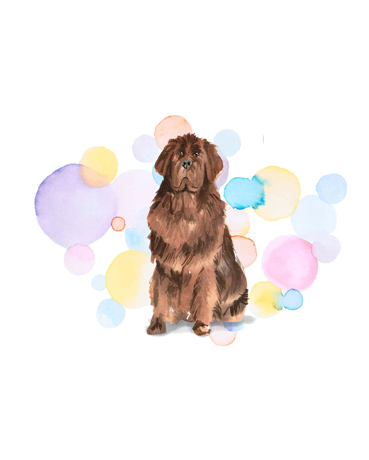 Newfoundland Dog Splash Card