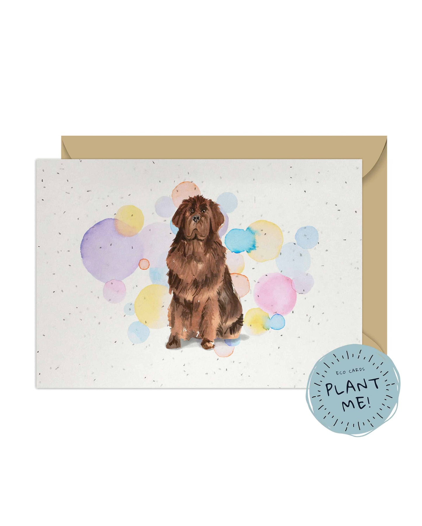 Newfoundland Dog Splash Card