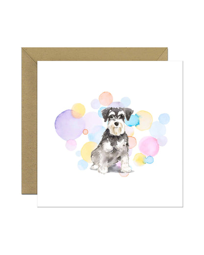 Grey Miniature Schnauzer Dog Splash Card