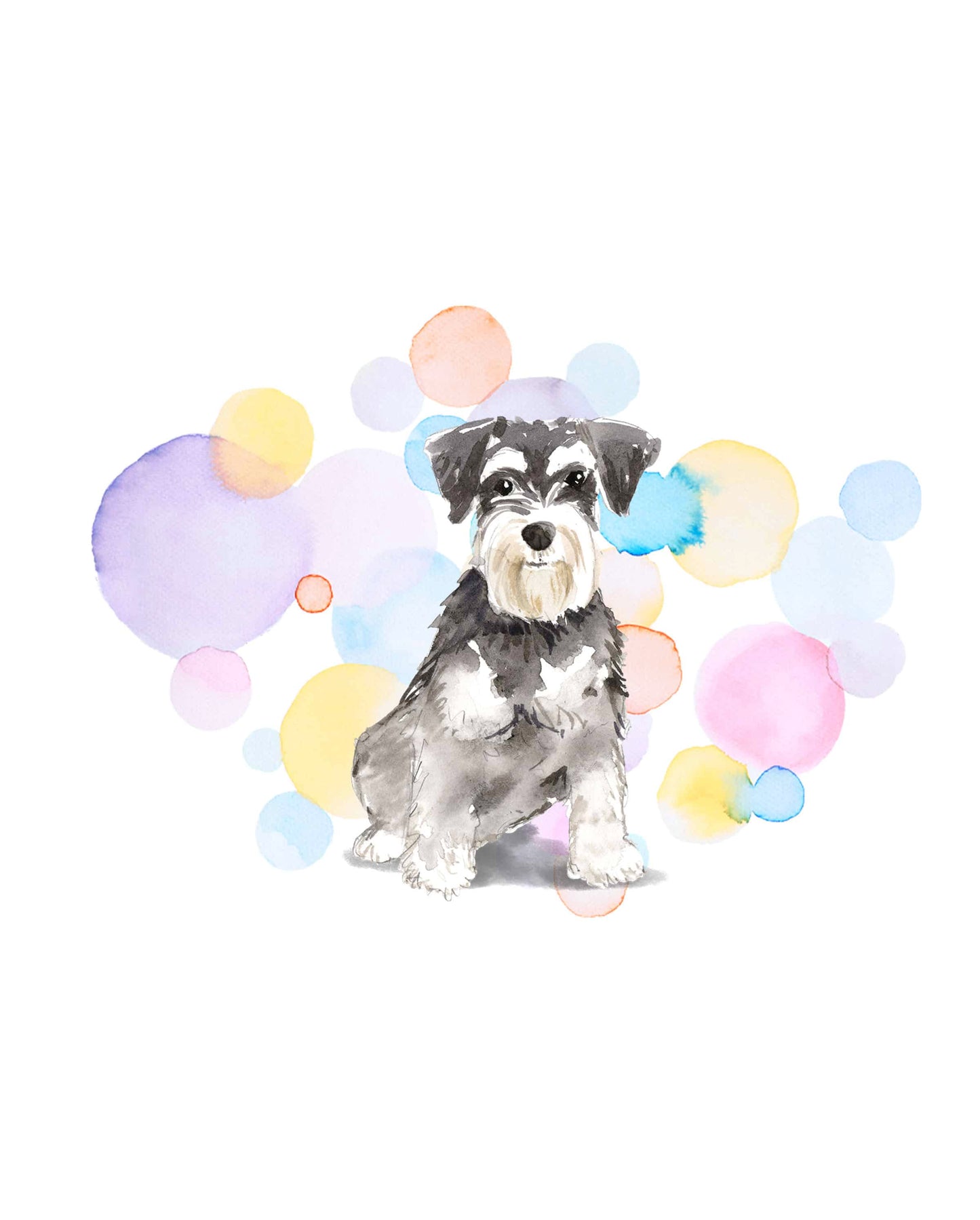 Grey Miniature Schnauzer Dog Splash Card