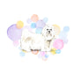 Maltese Dog Splash Card