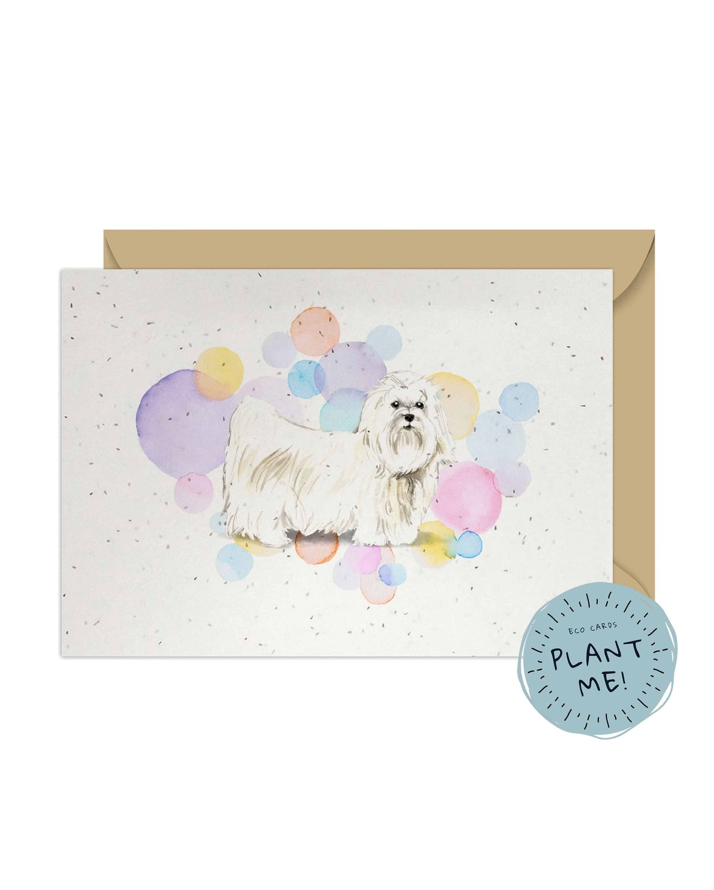 Maltese Dog Splash Card