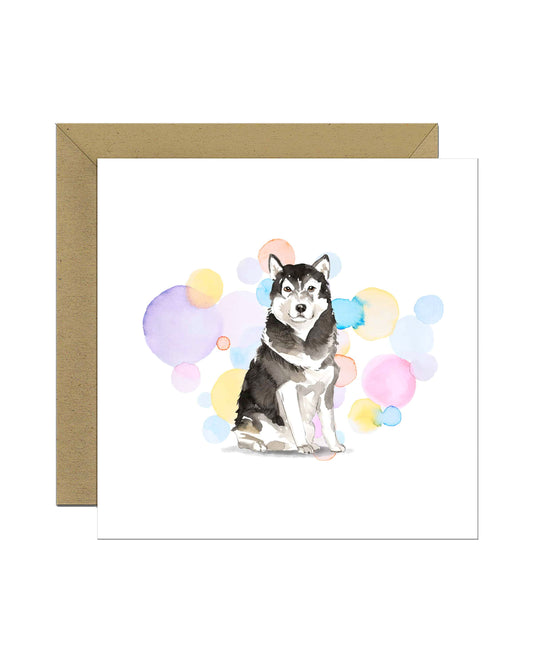 Malamute Dog Splash Card