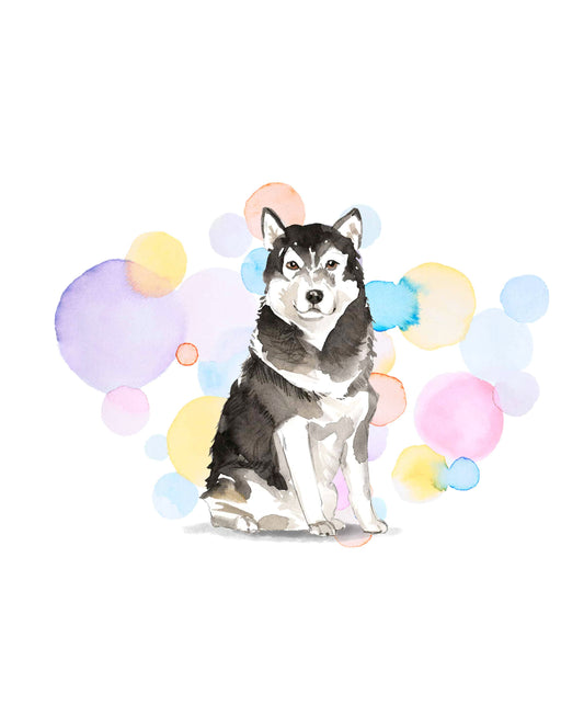 Malamute Dog Splash Card