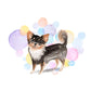 Long Haired Chihuahua Dog Splash Card