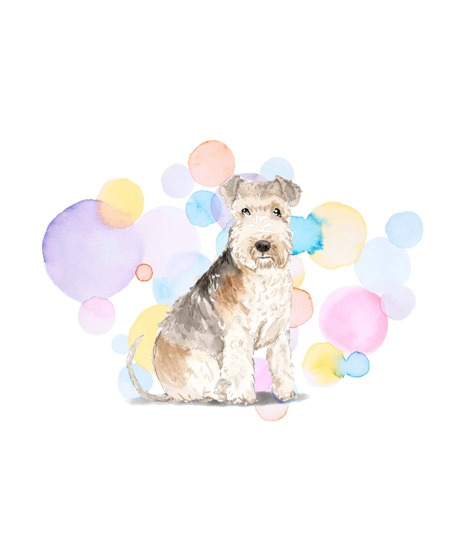 Lakeland Terrier Dog Splash Card