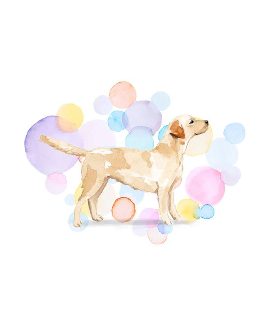 Labrador Retriever Dog Splash Card