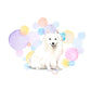 Japanese Spitz Dog Splash Card