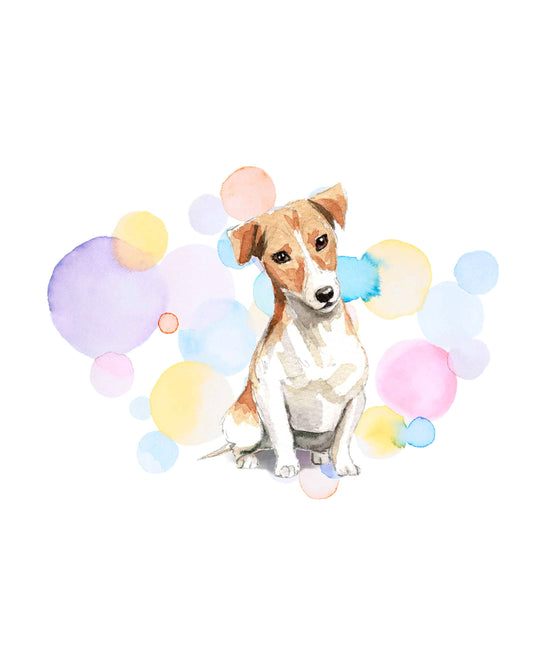 Jack Russell Dog Splash Card