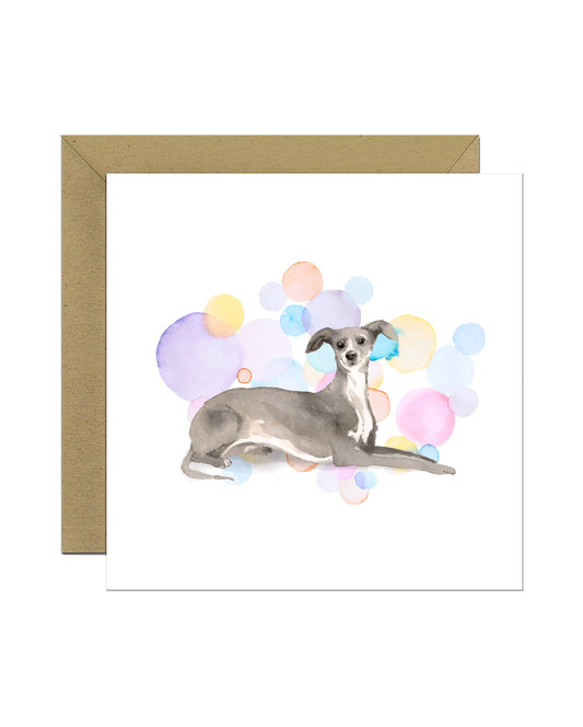 Italian Greyhound Dog Splash Card