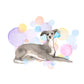 Italian Greyhound Dog Splash Card