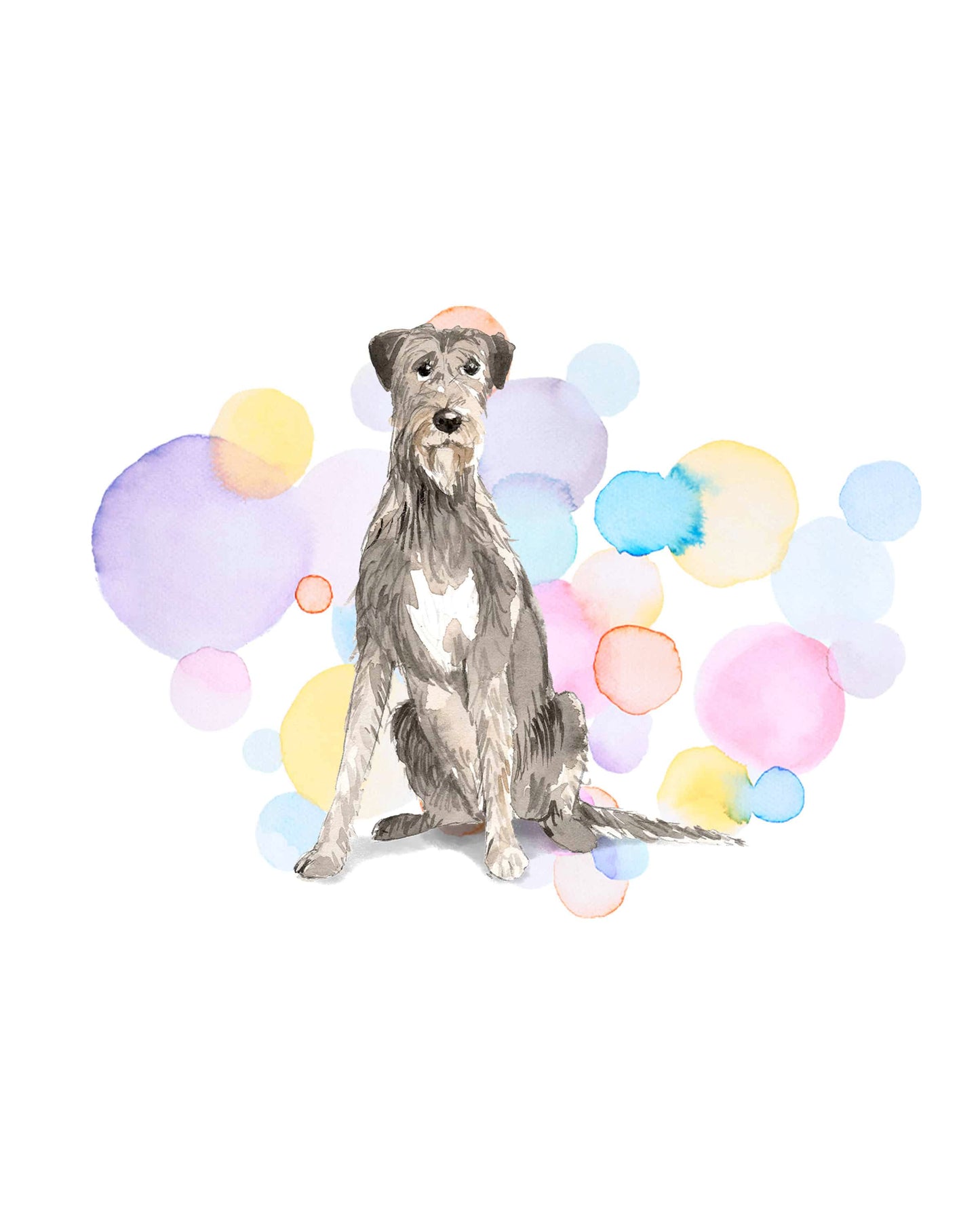 Irish Wolf Hound Dog Splash Card