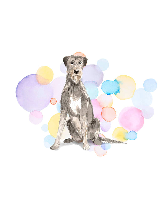 Irish Wolf Hound Dog Splash Card