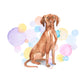 Hungarian Vizla Dog Splash Card