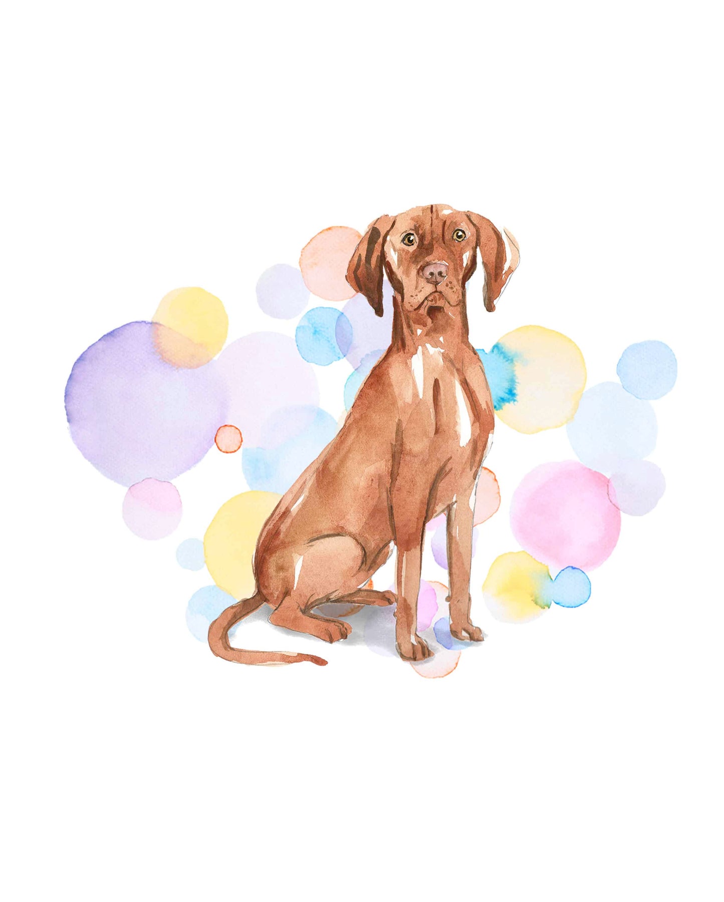 Hungarian Vizla Dog Splash Card