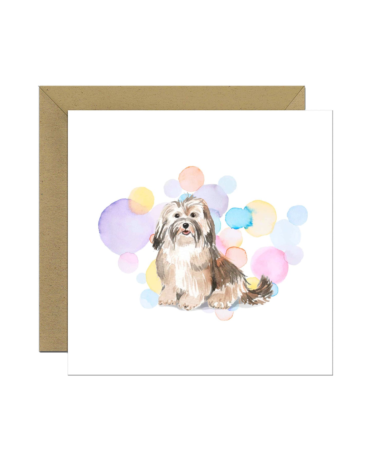 Havanese Dog Splash Card