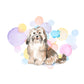 Havanese Dog Splash Card