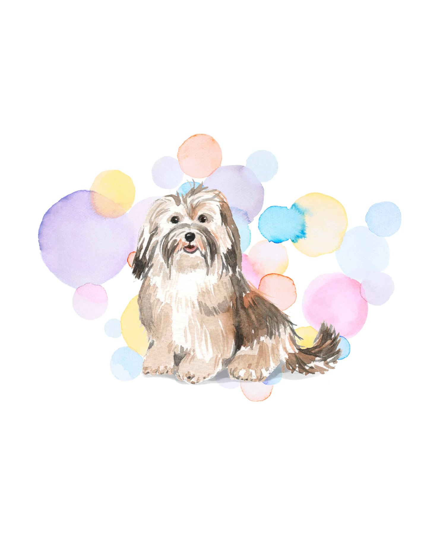 Havanese Dog Splash Card