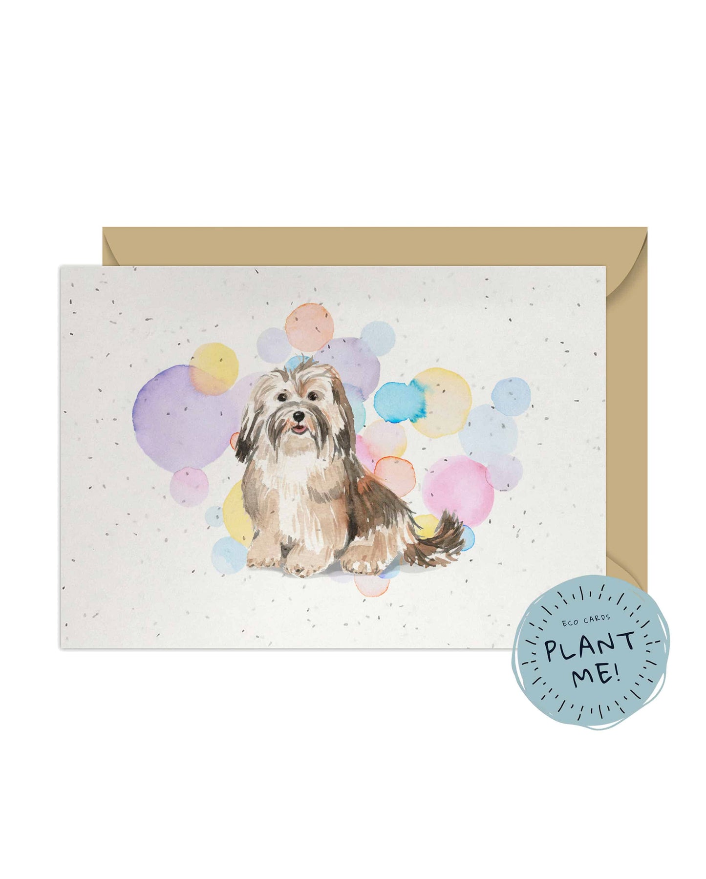 Havanese Dog Splash Card