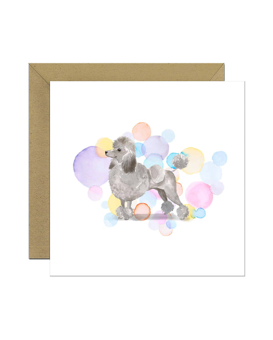 Grey Poodle Dog Splash Card