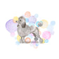 Grey Poodle Dog Splash Card