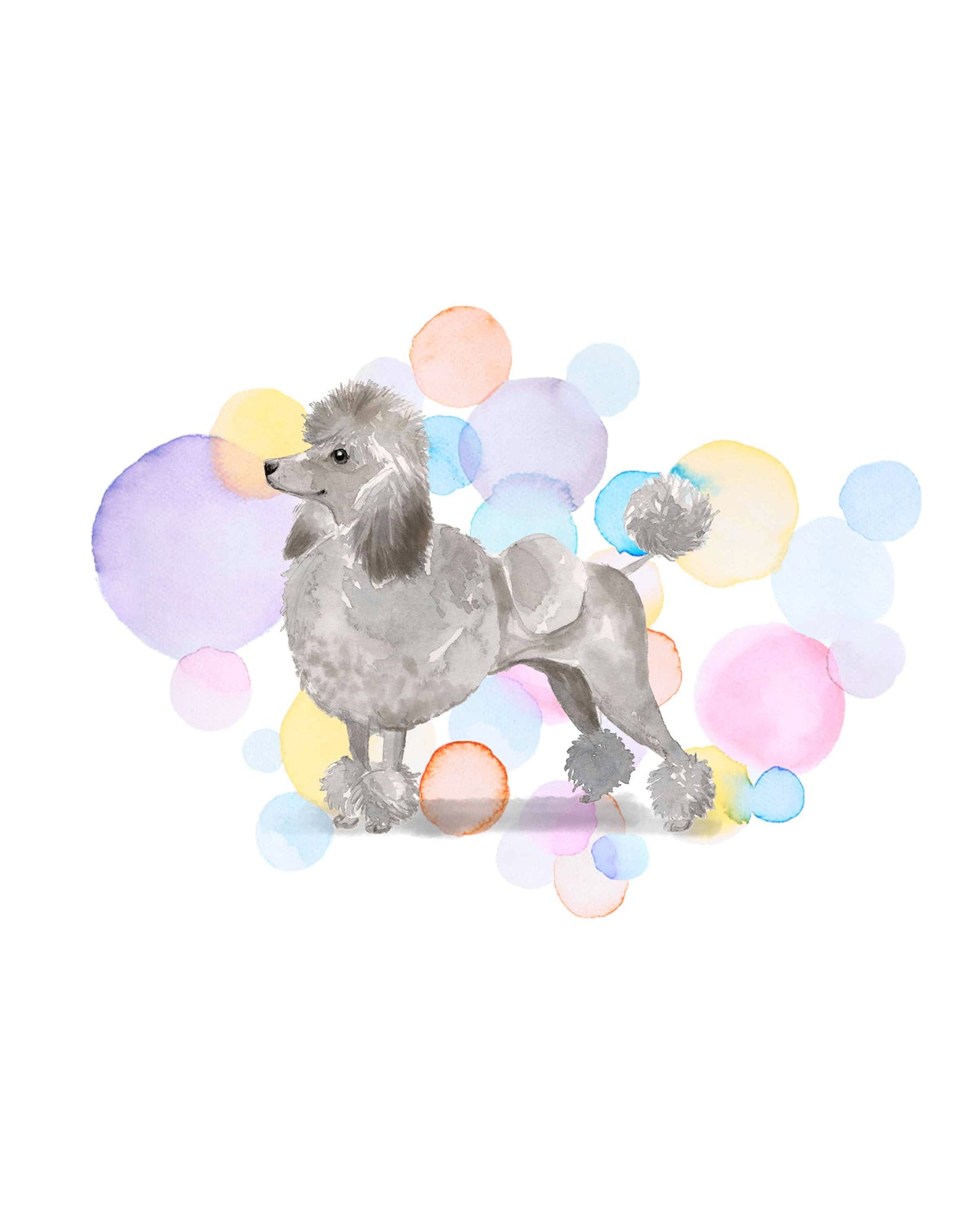 Grey Poodle Dog Splash Card