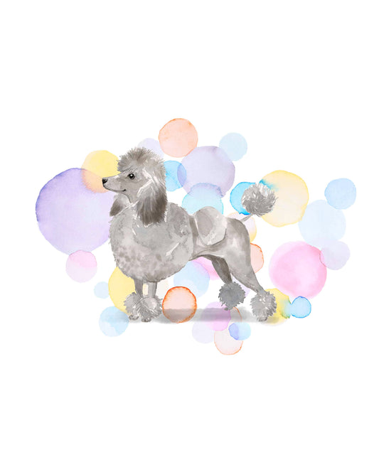 Grey Poodle Dog Splash Card