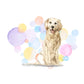 Golden Retriever Dog Splash Card