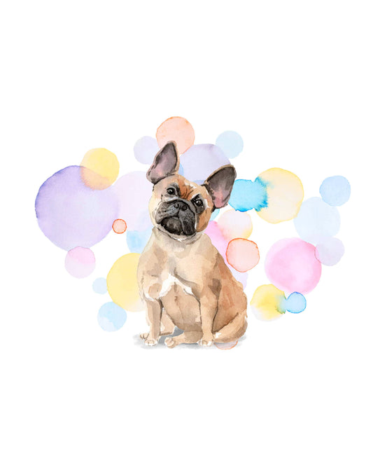 French Bulldog Dog Splash Card