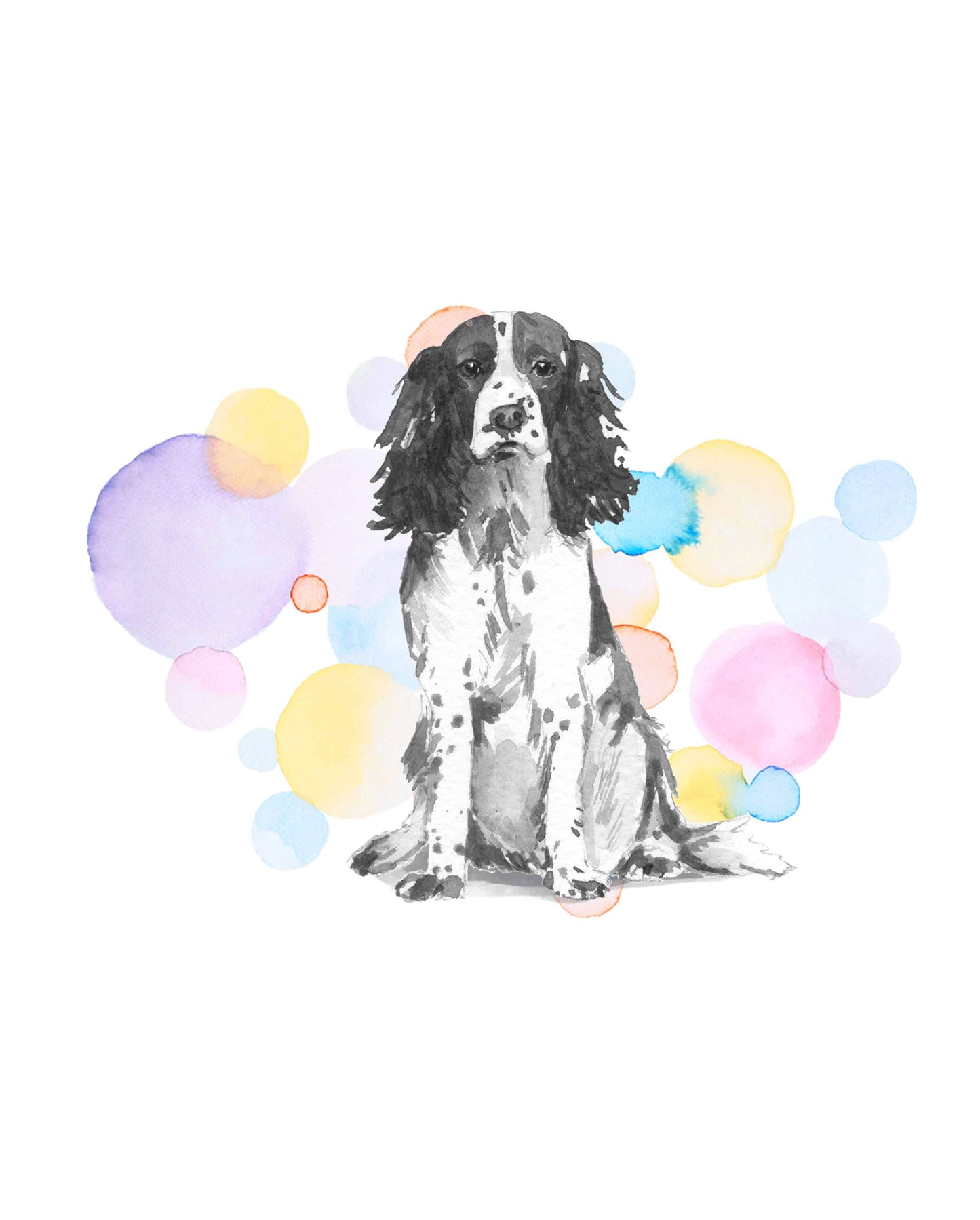 English Springer Spaniel Dog Splash Card