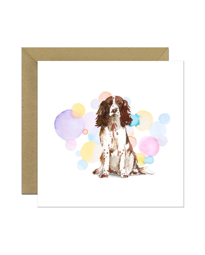 English Brown Springer Spaniel Dog Splash Card