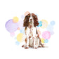 English Brown Springer Spaniel Dog Splash Card