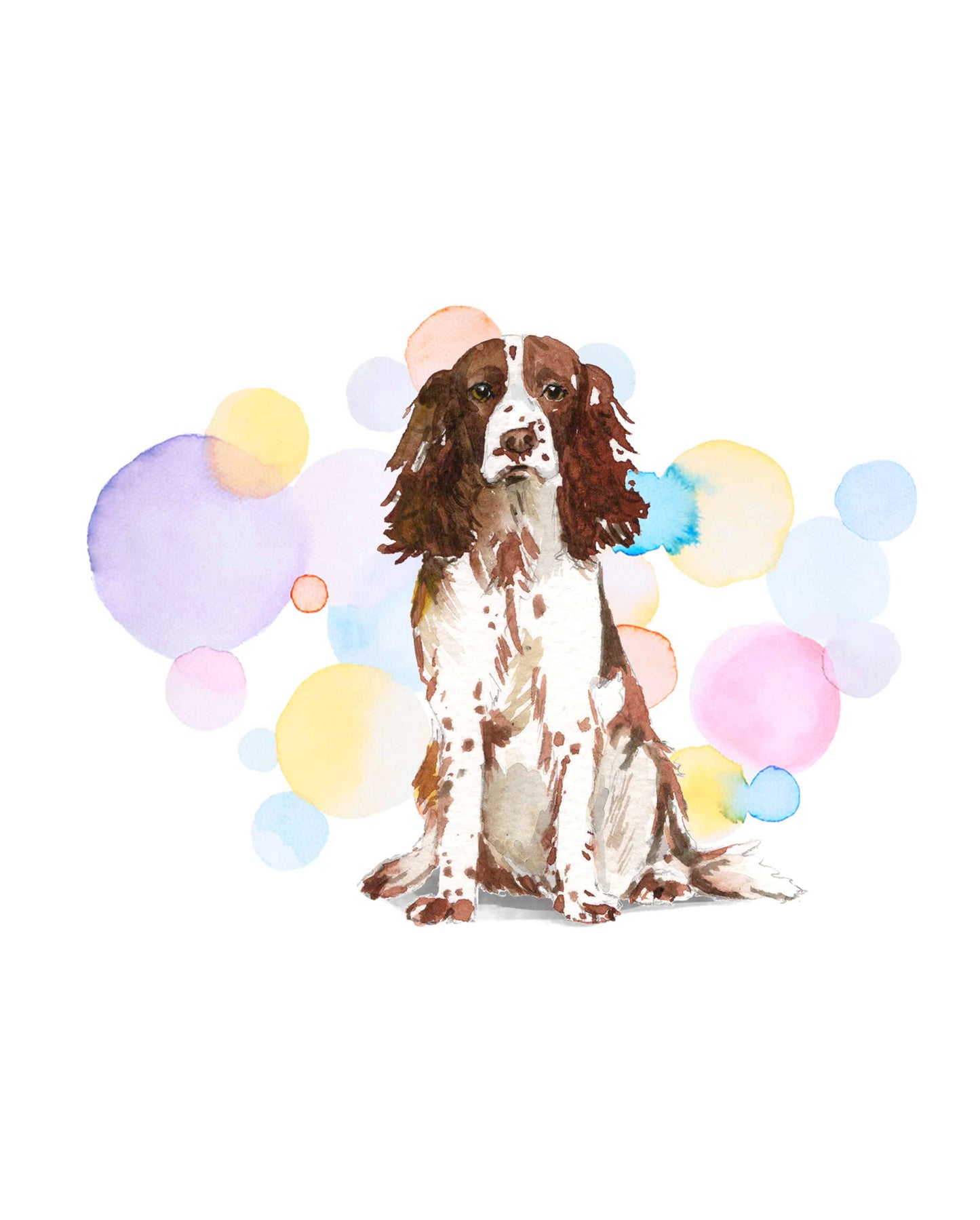 English Brown Springer Spaniel Dog Splash Card