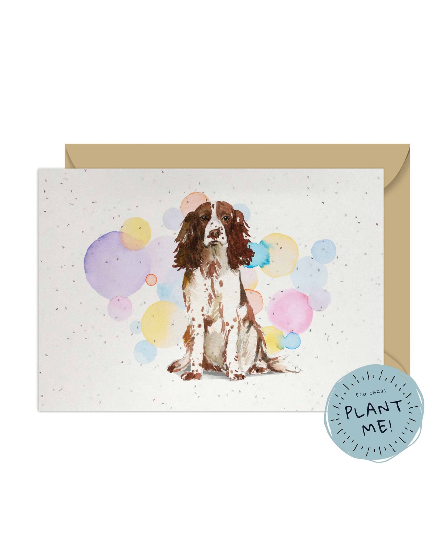 English Brown Springer Spaniel Dog Splash Card