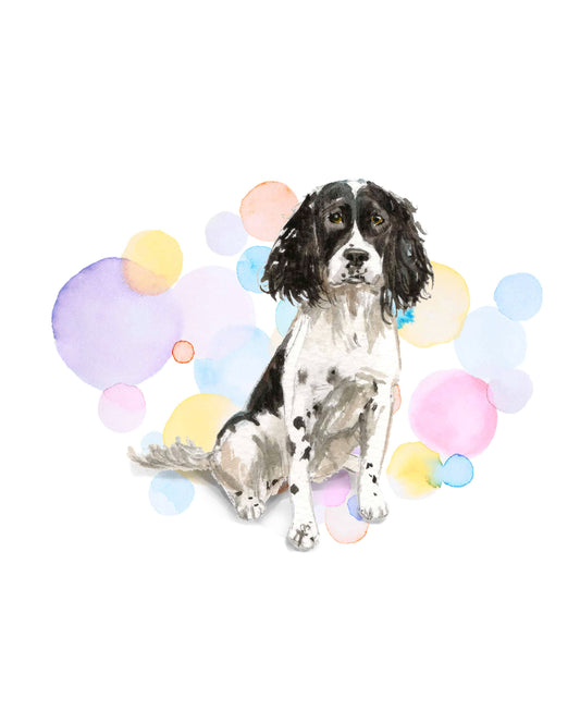 English Springer Spaniel Dog Splash Card