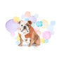 British Bulldog Dog Splash Card