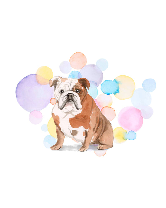 British Bulldog Dog Splash Card