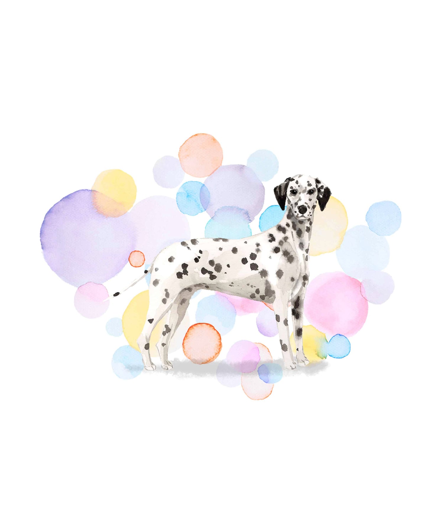 Dalmatian Dog Splash Card