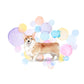 Corgi Dog Splash Card