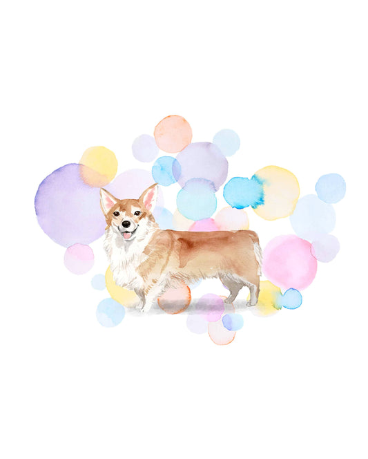 Corgi Dog Splash Card