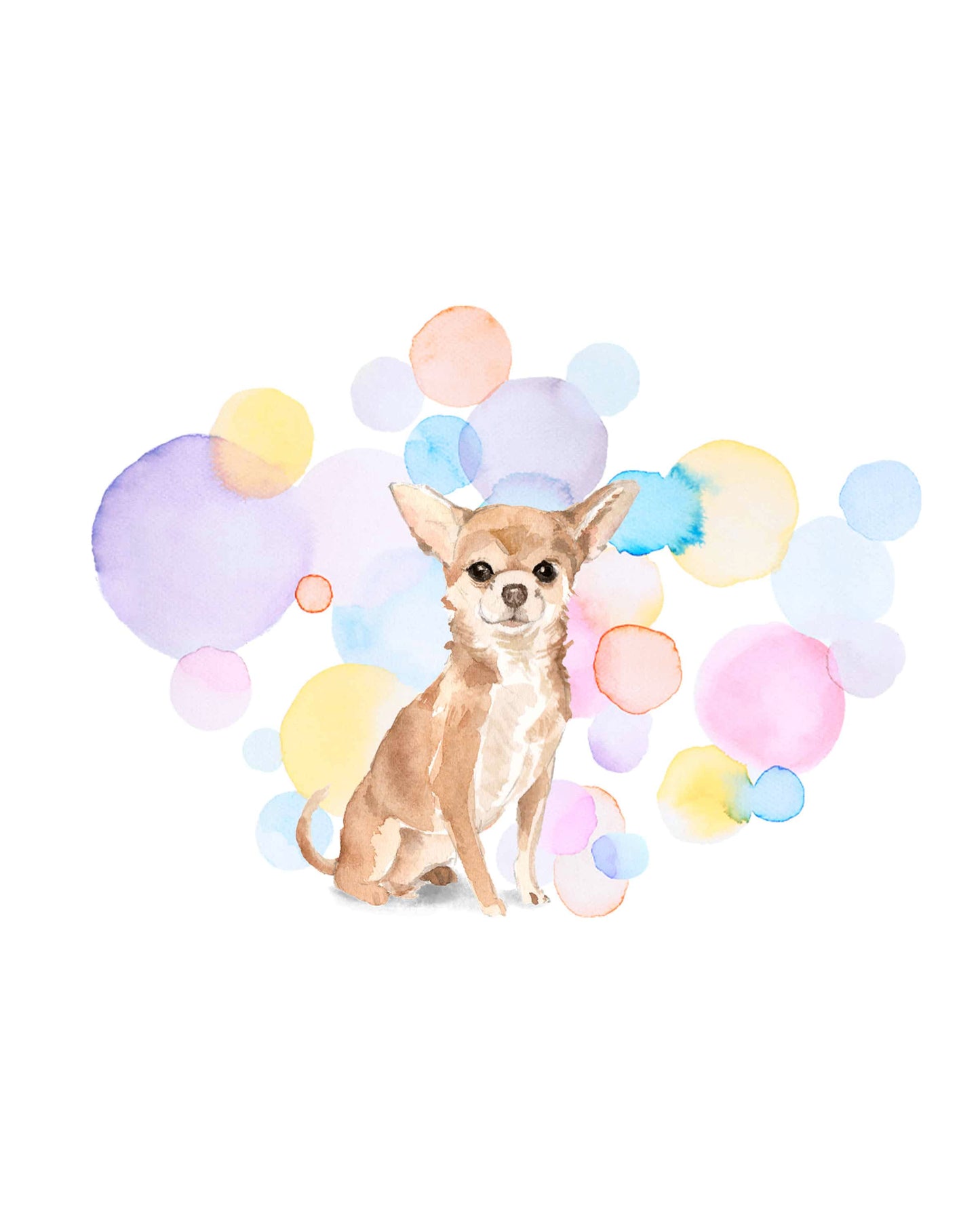 Chihuahua Dog Splash Card