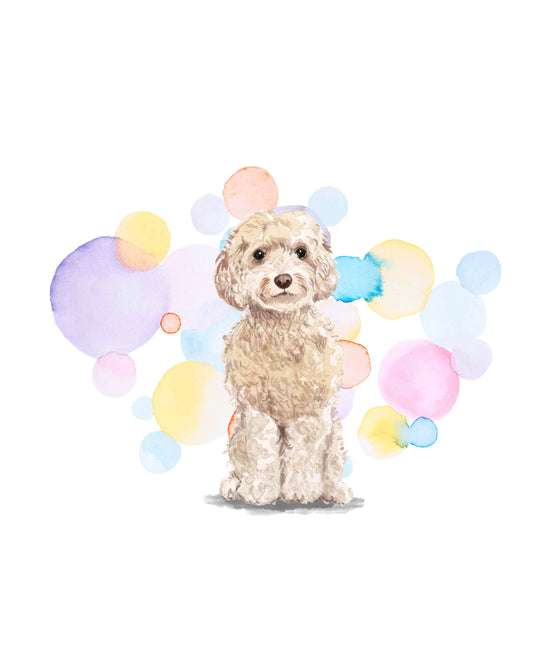 Champagne Cockapoo Dog Splash Card