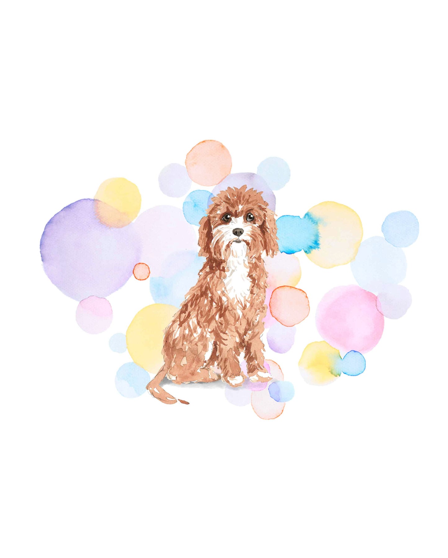 Cavapoo Dog Splash Card