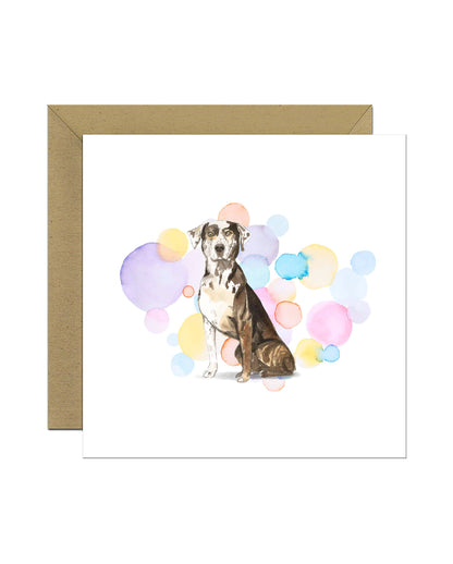 Catahoula Leopard Dog Splash Card