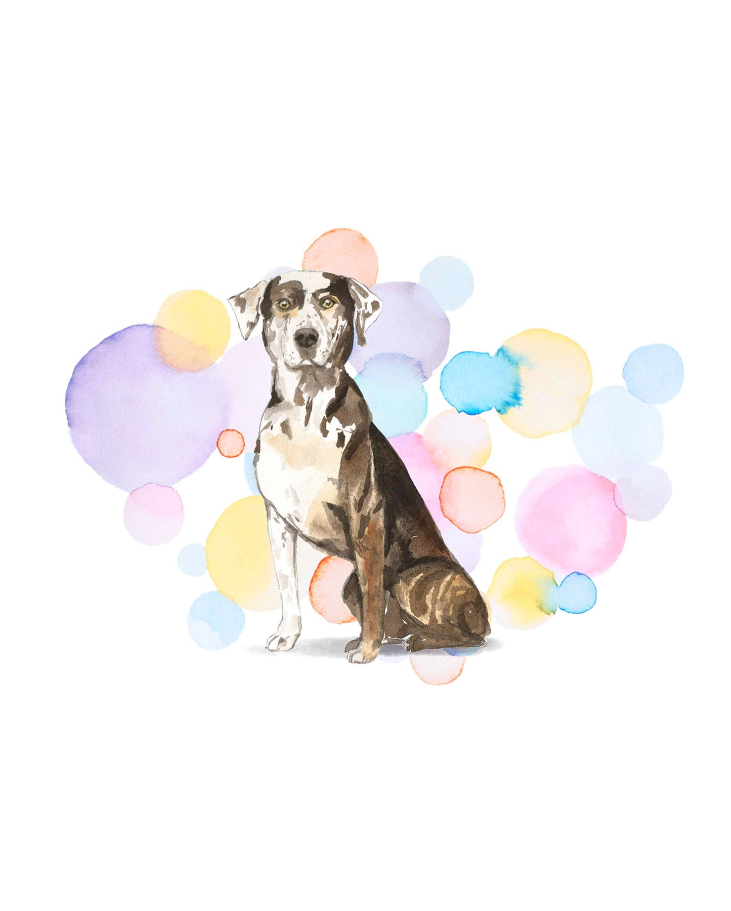 Catahoula Leopard Dog Splash Card