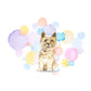 Cairn Terrier Dog Splash Card