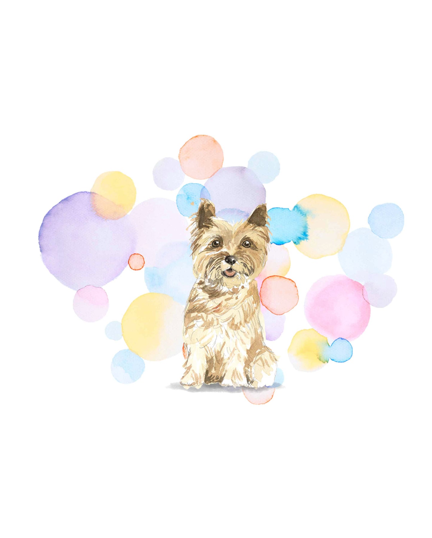 Cairn Terrier Dog Splash Card